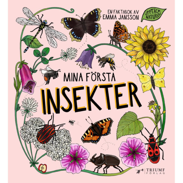 Mina första insekter